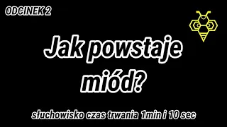 🎤 Jak powstaje miód? ODCINEK 2 #dolnośląskie #miody 🎧