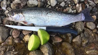 Making Stocked Trout Taste Delicious! | Rainbow Trout Catch and Cook