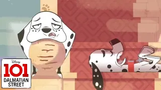 Hottest Day in London (Clip) | 101 Dalmatian Street