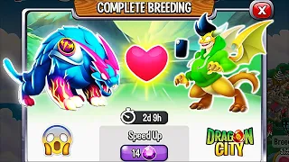 Dragon City: Mr Beast Dragon vs Preston Dragon [EXCLUSIVE BREEDING] 😱