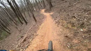 Vee Hollow-Updates to Trails Rattler, Juice, White Lightening, Bootlegger's Run-Downhilll only