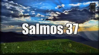 Salmos Capítulo 37: "El camino de los malos"