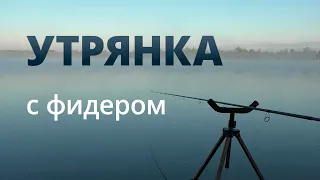Утрянка на фидер — #OmskFish