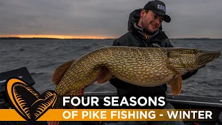 Four Seasons of Pike fishing Episode #4 - Winter fishing with Sean Wit