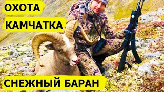 Камчатка - охота на снежного барана. Охота (Охотник и рыболов)