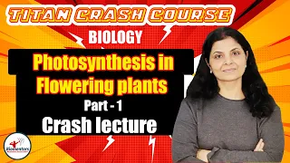 Biology l Photosynthesis in Flowering Plants 1 l Titan Crash Course l NEET