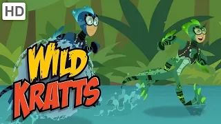 Wild Kratts - Underwater Creatures Challenge