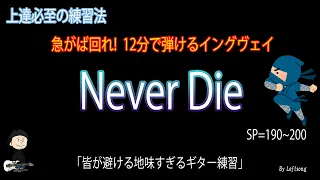 Never Die / Yngwie Malmsteen (Repeat practice)【Guitar NINJA 08】