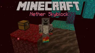 Skyblock in the Nether????