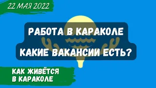 Работа в Караколе | Как живётся в Караколе