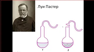 История эволюционных идей