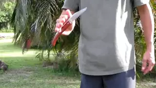 Knife tactical opening