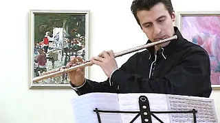 J. Sibelius - Violin Concerto D minor 1st mov. (arr. by D. Bouriakov) - Alexey Morozov (flute)