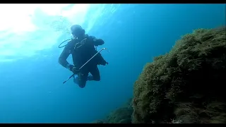 Crayfish in the Shallows | 4m Dive | Binningup, Western Australia