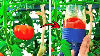 Amazing Hacks With Fruits And Vegetables || How to Grow And Peel Your Own Food!