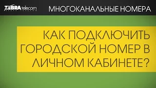 Подключение городского номера в личном кабинете ЗебраТелеком