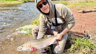 Late season steelhead on lures and worms