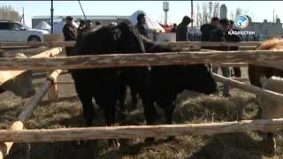 Шығыс Қазақстан облысының әлеуметтік-экономикалық даму көрсеткіштері жоғары