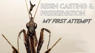 Resin casting my Ghost Mantis RIP Milton :(    [UPDATE & HUSBANDRY]