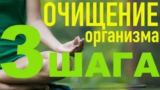 ОЧИЩЕНИЕ ОРГАНИЗМА - Подготовка, паразитарная санация, сорбенты. Правильная последовательность.