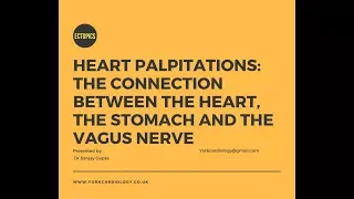 The connection between the heart, the stomach and the vagus nerve