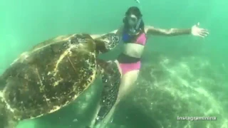 Nina Dobrev rocks a bikini as she meets a turtle in the ocean