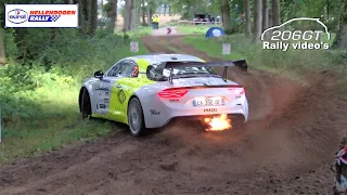 Hellendoorn Rally 2022 ACTION & MISTAKES_Best of by 206GT