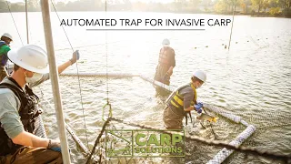 Automated Trap for Invasive Carp