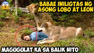 BABAE INILIGTAS NG ASONG LOBO AT LEON MAGUGULAT KA SA BALIK NITO