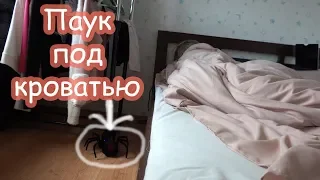 VLOG Пранк над Настей и над Надей