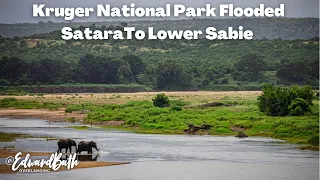 KRUGER FLOODED | Satara To Lower Sabie | Limpopo Wet Season Episode 3