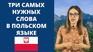 Три самых нужных слова в польском языке