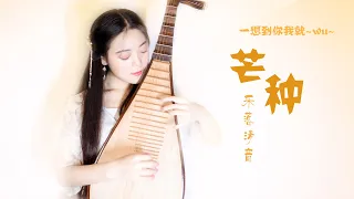 【Grain in Ear】| PiPa (Chinese Lute) Cover by 樂落清音