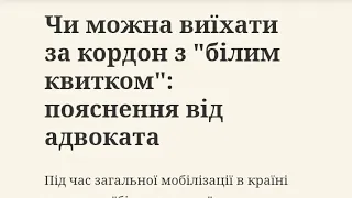 Чи можна виїхати за кордон з "білим квитком": пояснення від адвоката