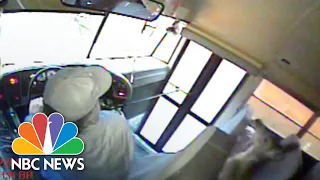 Camera Captures Moment Deer Crashes Through School Bus Windshield | NBC News NOW