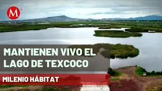 Así buscan preservar el Lago de Texcoco | Milenio Hábitat