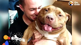 Happy Pit Bull Dog Loves It When His Dad Babies Him | The Dodo Pittie Nation