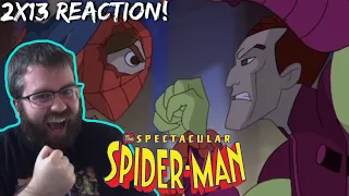 The Spectacular Spider-Man 2x13 "Final Curtain" Reaction / Review!!! (The End...)