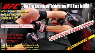 MMA Fighting Styles | Aggressive Martial Arts (POWER PUNCHER)