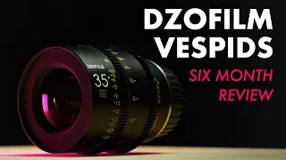 DZOFILM Vespid Primes | Six Month Review #dzofilm #lenses