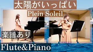 映画「太陽がいっぱい」テーマ曲/フルート＆ピアノ/楽譜あり/ニーノ・ロータ 1960年/Plein Soleil/Nino Rota/Flute&Piano