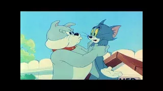 Tom and Jerry Episode 44   Love that Pup Part 2