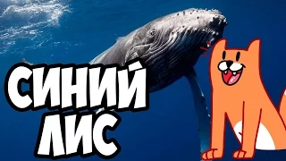 Синий Кит = Рыжий Лис | Угрожает УБИТЬ | Синий Лис