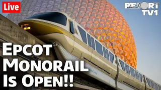 🔴Live: The Epcot Monorail is Open!!  Walt Disney World Live Stream