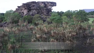 Живописная Австралия. Picturesque Australia. Национальный Парк Какаду
