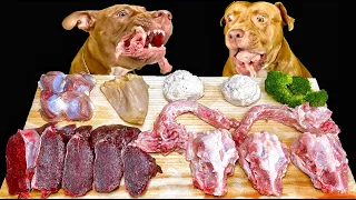 ASMR MUKBANG PITBULL EATING RAW FOODS HORSE EARS