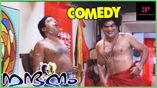 Nandanam | Nandanam Full Movie Comedy | Navya Nair | Prithviraj Sukumaran | Jagathy Sreekumar Comedy