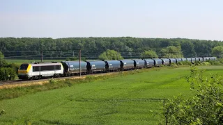 Trains dans les champs entre Braine-Le-Comte et Soignies #2 (Juin 2023)