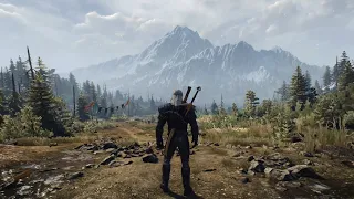 The Fields of Ard Skellig - The Witcher 3: Wild Hunt Soundtrack