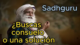 Sadhguru Español - ¿Buscas consuelo o una solución